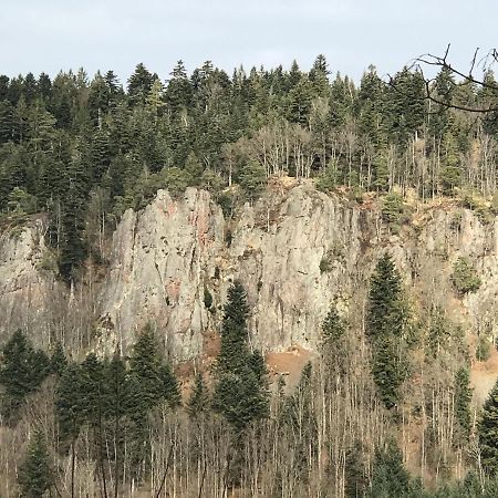Ferienwohnungen Beilerstaedtle Oppenau Exteriör bild