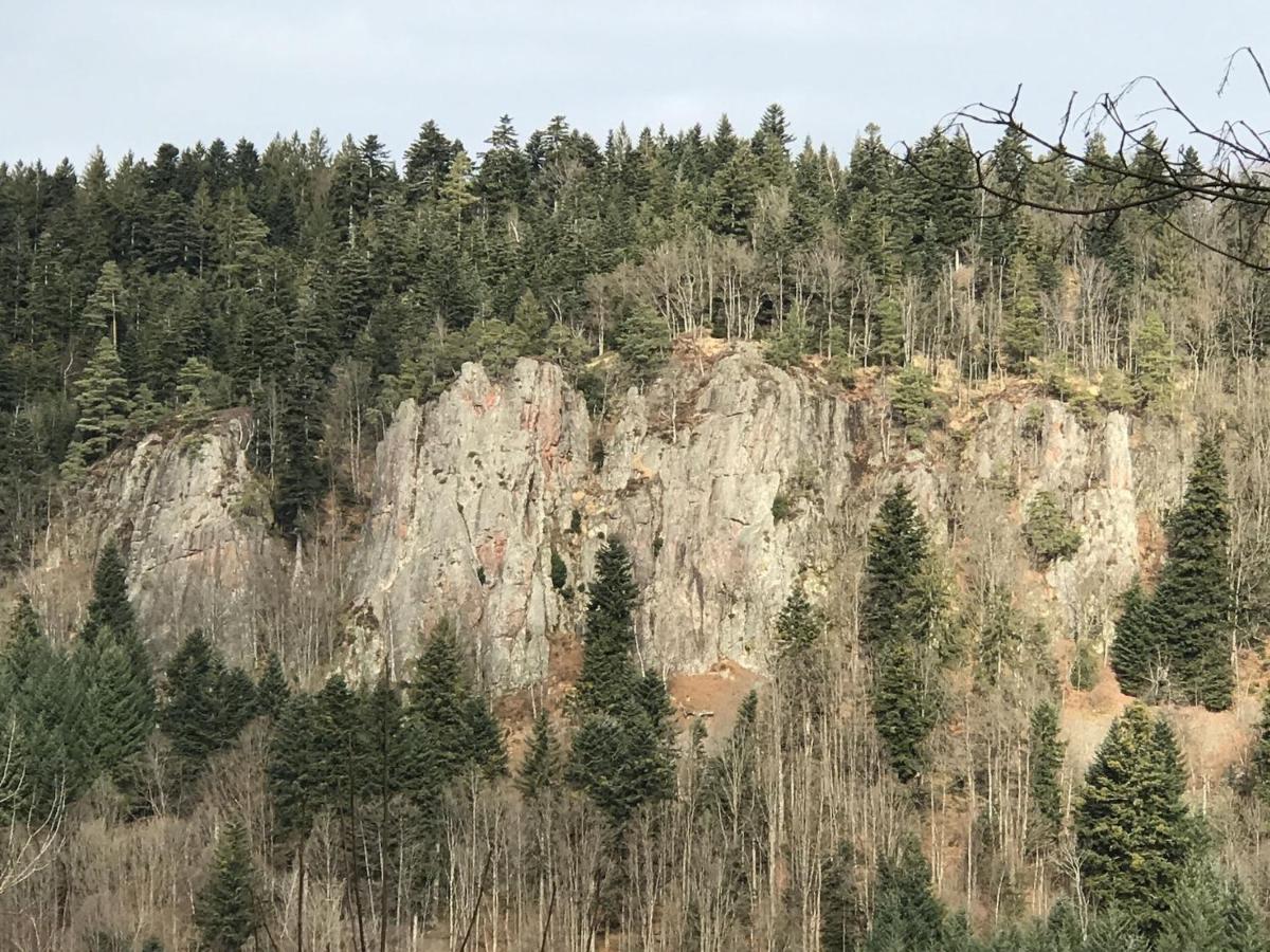 Ferienwohnungen Beilerstaedtle Oppenau Exteriör bild